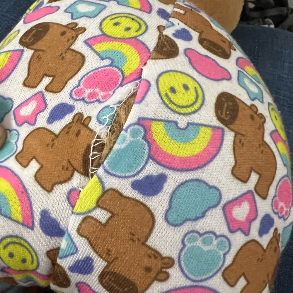 Build-A-Bear Capybara Set 🥰 - Picture 6 of 10